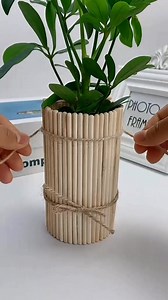 Instructions for making bonsai pots using bamboo chopsticks and plastic bottles #DIY #craft #diyhome | Craft 1 Minute