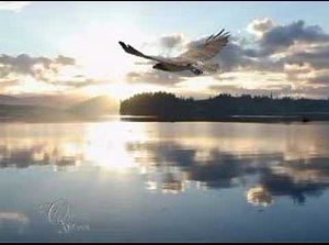 Where the Eagle flies