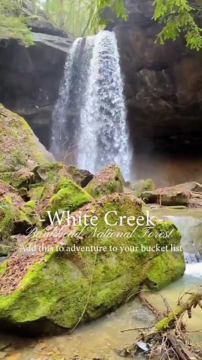 Bucket list update: Add White Creek in Sipsey Wilderness, NW Alabama to your bucket list. This magical hike leads you through a beautiful forest to an awe-drowping waterfall and a smaller waterfall with a heart shaped pool. . Always remember to hike with care and leave no trace. . The short video of me hiking was taken by @thedirtstomper (aka @big_joejitsu) | Huntsville Adventurer