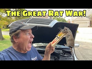 Rats And First Start In Many Years For My Mercedes Wagon!!