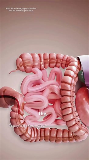 Colonoscopy procedure (3D animation) #drone #theflash #automobile #scifi #science #3danimation
