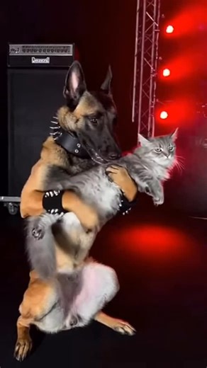 When your guitar has opinions. | Jupiterstarco