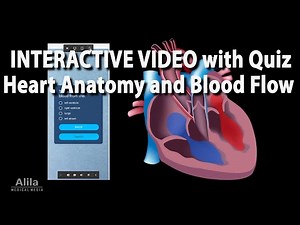 NEW! INTERACTIVE VIDEO: Heart Anatomy and Blood Flow