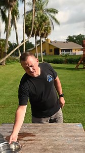 Signs of bloat and how to avoid it Part 2 #bloatingtips #bloatingindogs #tips #advice #dog #doggo #doglover #puppy #petlovers #dogtips #dogtrainingtips #tricksandtips #dogtraining #k9 #fyp | Pet Dogs