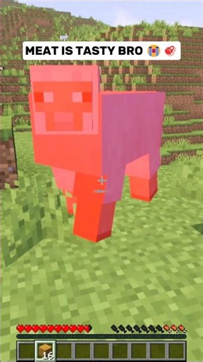 Meat is Tasty Bro 😭🥩 | Funk Na Mira (Super Slowed) - Hwungii