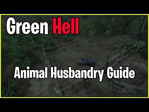 Animal Husbandry Guide | Green Hell