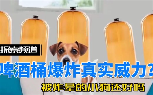被炸晕的小狗回来了？见识一下爆炸瓶的真实威力，小狗还不怕吗