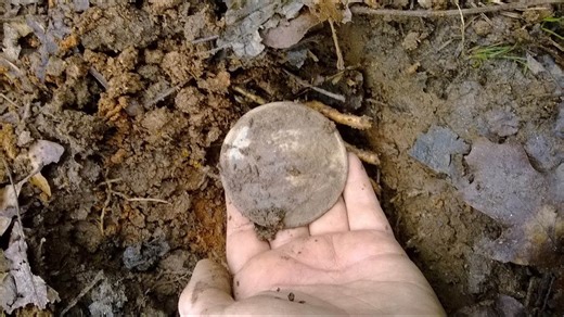 I found a Civil War breastplate! ⚔️