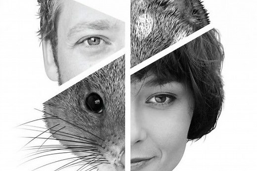 Extinction by Hannie Rayson