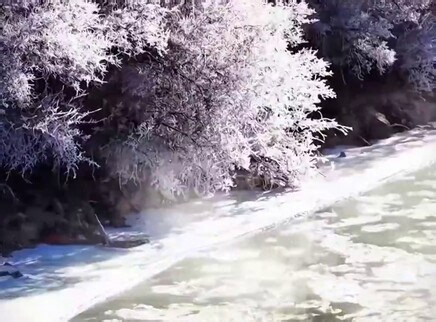 长江源头：玛可河迎来雾凇景观