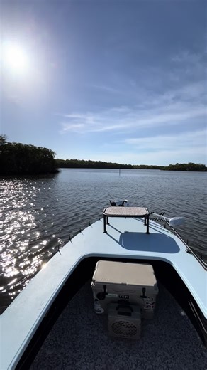 Just fishin🤷🏼‍♂️#everglades #skiff #flyfishing #snook #tarpon redfish