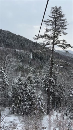 Skyline, the view is better in the air! #zipline #alpineadventures #whitemountainsnh | Alpine Adventures NH