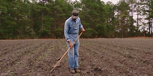 Freewoods Farm: The history behind 40 acres and a mule