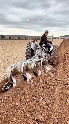 Bradley Operating a Grey Fergie with a 4 Furrow Plough