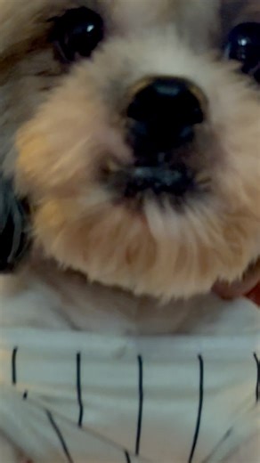 unboxing time #nikeheritagewaistbag #beltbag #unboxing | Azo Edition