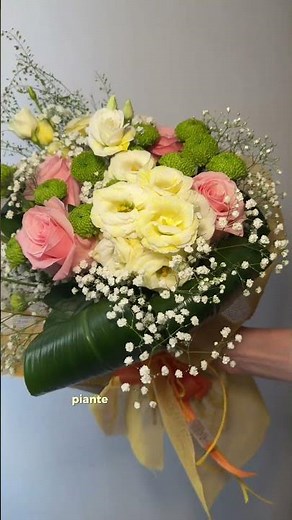 🎂 C'è un compleanno in arrivo e non sai cosa regalare?