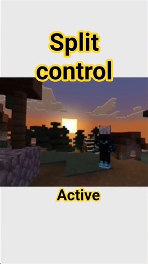 split control on#Minecraft