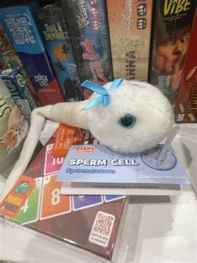 Exploring the KTM 85: Speed and Clean Riding