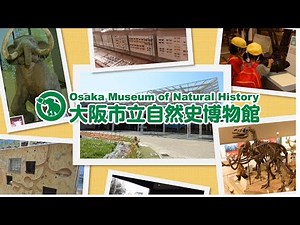 大阪市立自然史博物館（常設展及びWebコンテンツPR動画）