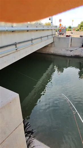 Sabrina Fishing 🎣 on Instagram: "Got spooled but that didn’t stop me from landing this biggie on my lightest setup yet 💪🏼😮‍💨🎣 #fyp #womenwhofish #canalfishing #lightfishing #lighttacklefishing"