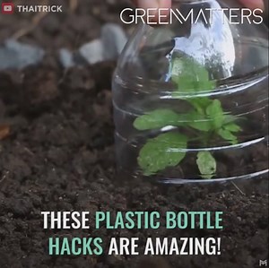 1.6M views · 5.6K reactions | Repurposing plastic bottles helps both you and the earth. | Green Matters | Facebook