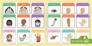 Parts Of The Body Communication Cards