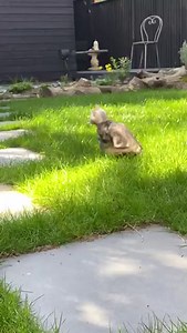 13K views · 207 reactions | Clean Bandit on Reels | Facebook