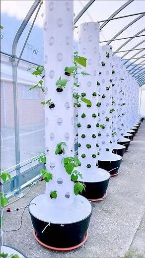 Maximize Your Greenhouse Space with Lyine Vertical Tower Projects #shorts