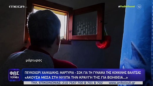 Χαλκιδική: Συγκλονίζει μάρτυρας για την υπόθεση με την κόκκινη βαλίτσα – «Μια κοπέλα φώναζε "βοήθεια"»