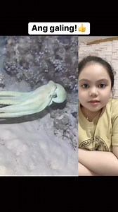 38K views · 127 reactions | Did you know octopuses can change color, shape, AND texture to blend in or confuse threats?  Their skin has special cells called chromatophores that help them pull off the ultimate camouflage!  #octopus #OctopusCamouflage #oceanlife #OceanFacts #OctopusMagic #UnderwaterNinja #AnimalWonders | Michelle Reyes | Facebook