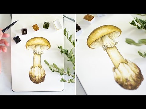 How to Paint Watercolor Mushrooms (Death Cap) ✿ Nature Journaling Tutorial