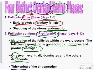 Mr. Walker's Biology 30: Female Reproductive Cycles Lesson
