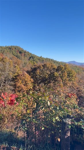 2.4K views · 30 reactions | This beautiful scene would’ve looked much...