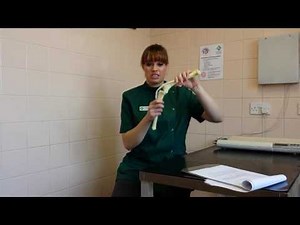 Canine Cruciate Repair - MMP surgery