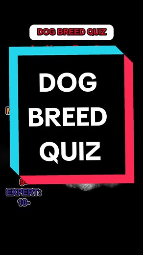 Guess The Dog Breeds Quiz Challenge