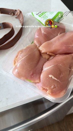Identifying Parasites in Chicken: What to Watch For