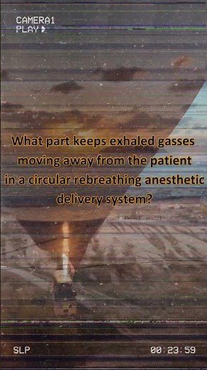 Understanding Anesthesia Delivery Systems for NAVLE/BCSC Prep/Dr-AM-Vet