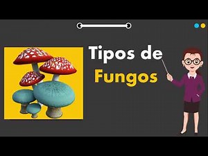O que são Fungos?