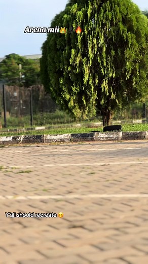 Arena Performance by Larry: Electrifying Dance and Singing