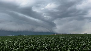 59K views · 674 reactions | Beautiful, unexpected shelf cloud near Buckeye, Iowa while on my drive back to Minnesota ￼! #iowa #selfcloud #stormchasing | Tanner Charles Chasing | Facebook