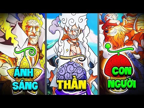 Giải Thích Tất Cả 144 Trái Ác Quỷ Trong One Piece 36 Phút