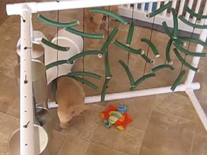 Adventure Box intro video