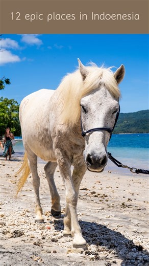 Family | Travel | Adventure on Instagram: "📌SAVE these breathtaking Indonesia gems🌋🌊🌿 Comment GUIDE if you want more hidden & iconic spots for your next Indonesia adventure! Cemoro Lawang, Java 📍Seruni Sunrise Point 📍Tengger Caldera Tumpak Sewu, Java 📍Tumpak Sewu Waterfall 📍Teras Semeru 📍Coban Sriti Waterfall 📍Goa Tetes Banyuwangi, Java 📍Ijen Blue Fire 📍De Djawatan Forest Kuta, Lombok 📍Pantai Serangan Beach 📍Pantai Lancing Beach 📍Tanjung Aan Beach 📍Bukit Merese 📍Bat Cave Goa Ban