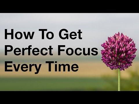 How To Get Perfect Focus On Your Camera Every Time