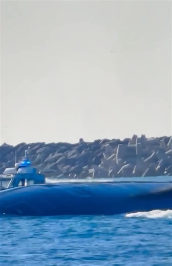 Pearl Harbor Ohio Class | Leslie Anne Cook Sustaita