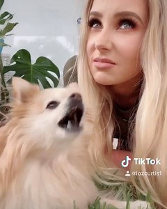 The fly 🤣🦟 Follow me on tik tok! Lozcurtis1 🎥 | Lauren Curtis