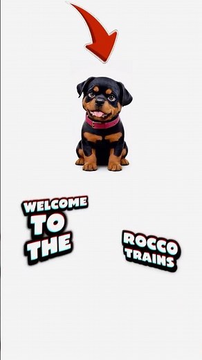 This Dog Isn’t Real… Yet | Building Rocco from an Idea