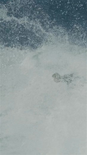 Discover the perfect combination of style & function. Eyewear perfect for long days on the beach and even longer afternoons at the bar. | Liive Vision | Facebook