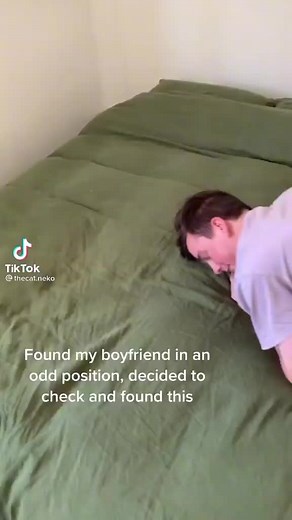 Fake video, no one was hurt, scripted acted play #animals #funny #dogs #cats #cute