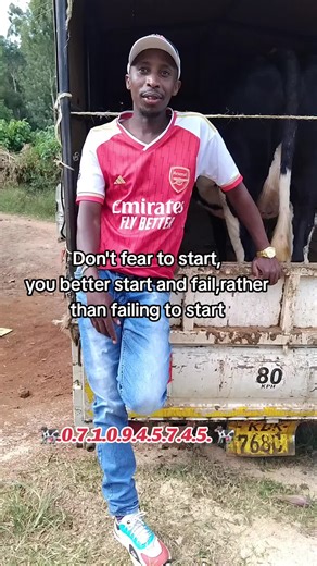 Dairy Farming Success: Tips for Beginners and Beyond